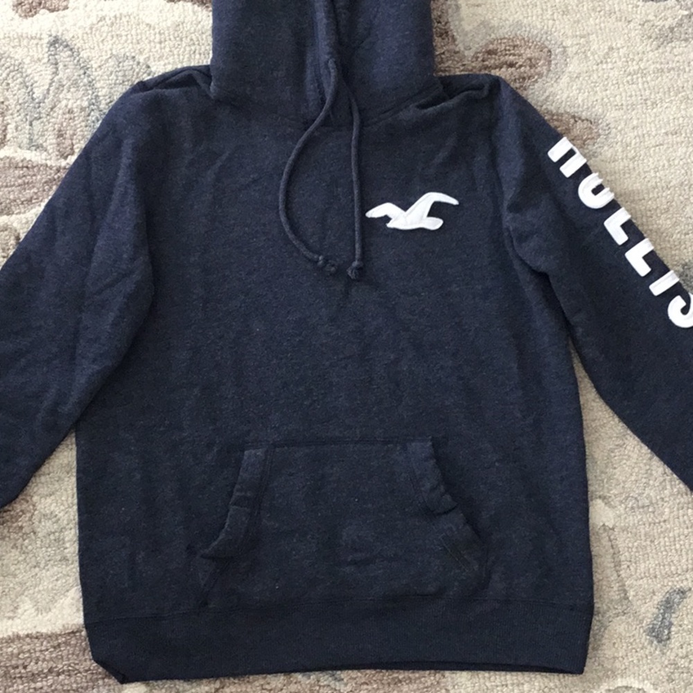 hollister logo hoodie with Sherpa lined hood